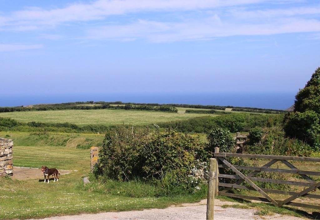 Higher Tresmorn Farm Bed & Breakfast Crackington Haven Exterior foto